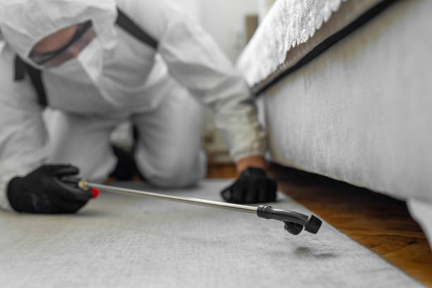 Professional Cockroach Control technician working in Abbotsford, WI